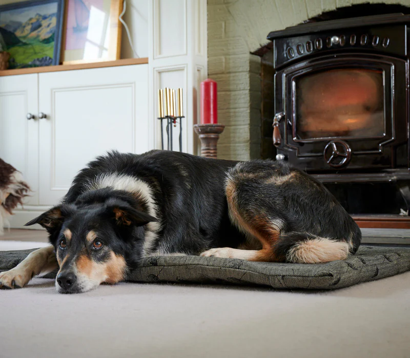 Warm Homes, Green Future